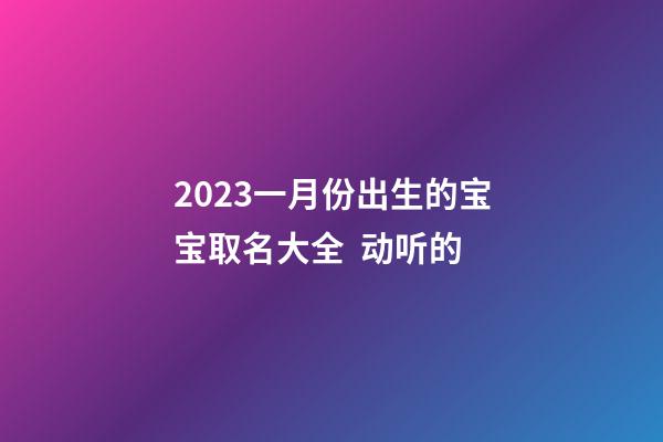 2023一月份出生的宝宝取名大全  动听的